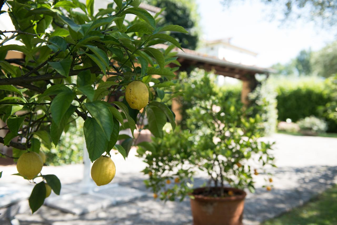 Le Tre Querce B&B Romano D'Ezzelino ภายนอก รูปภาพ